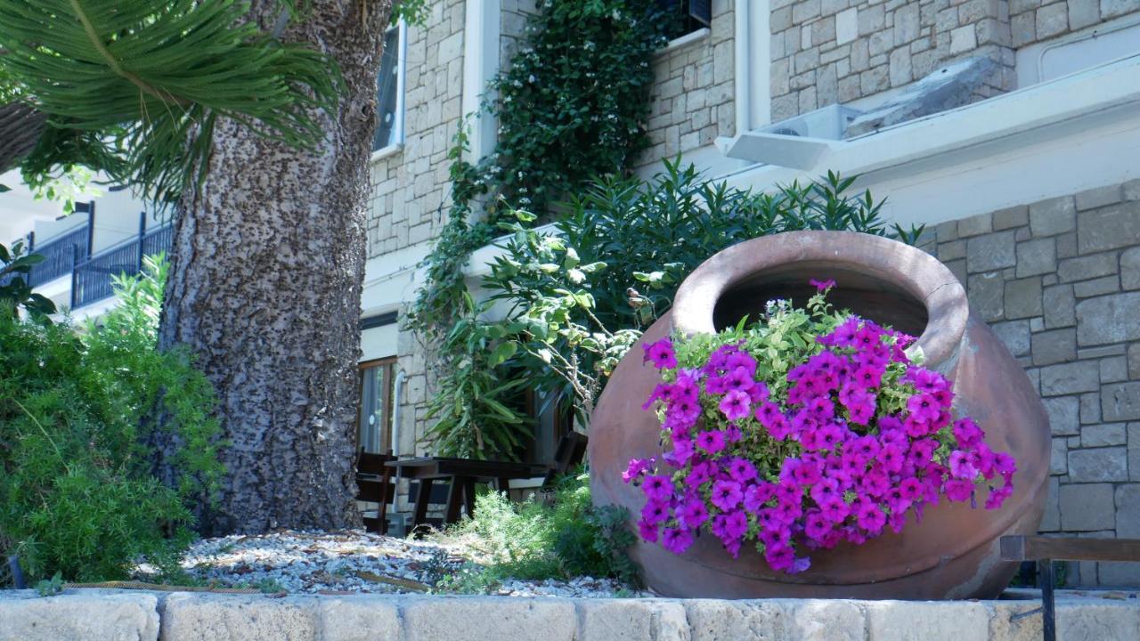 Dionysos Central Pafos Exterior foto